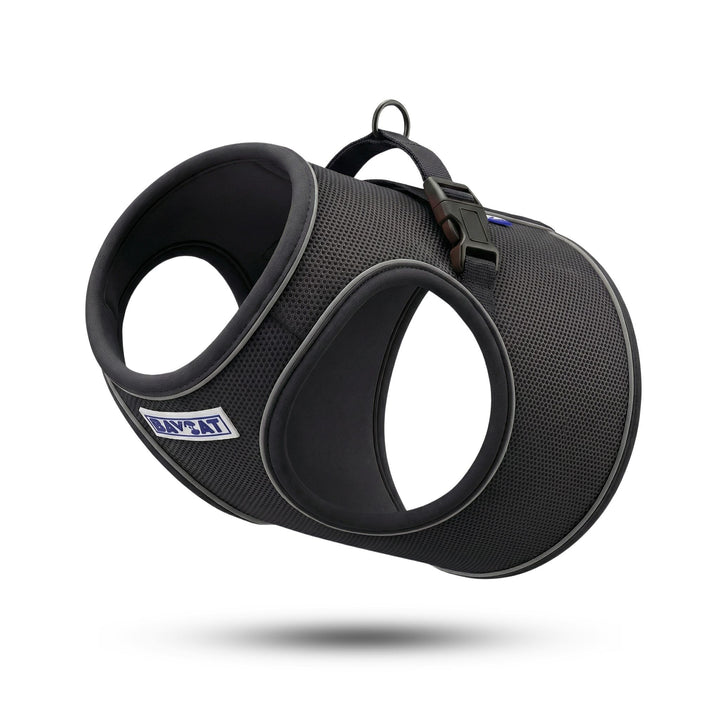 BAYCAT Harness + Leash
