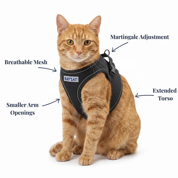 BAYCAT Harness + Leash