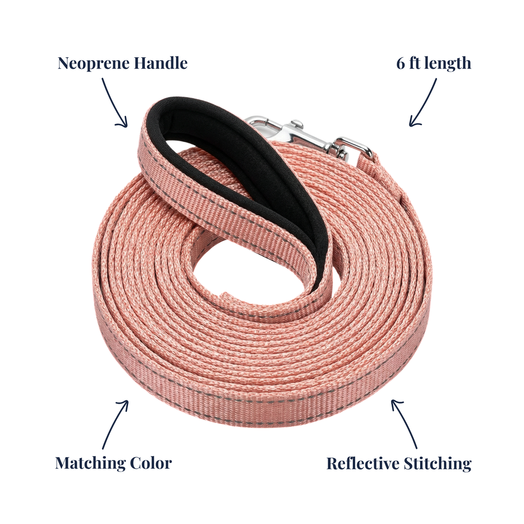 BAYCAT Harness + Leash