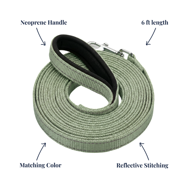 BAYCAT Harness + Leash