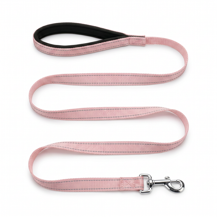 BAYCAT Harness + Leash