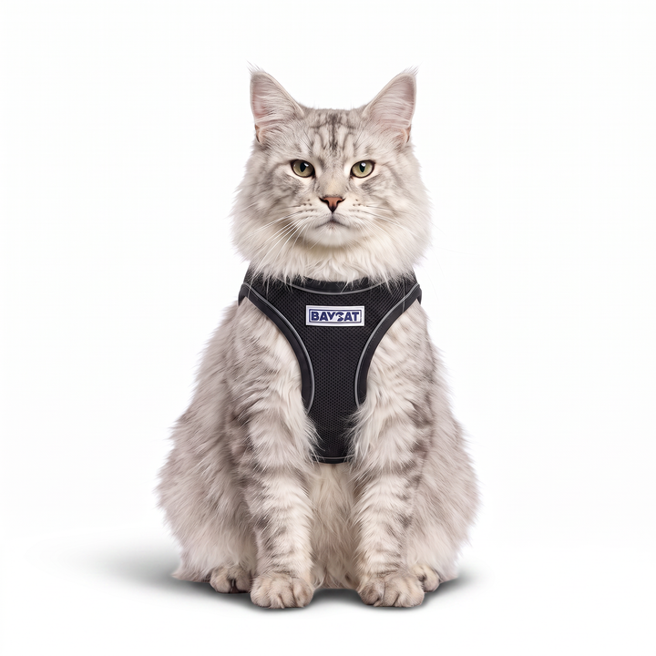 BAYCAT Harness + Leash