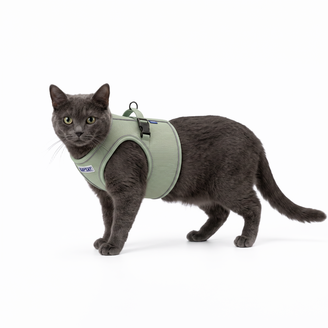 BAYCAT Harness + Leash