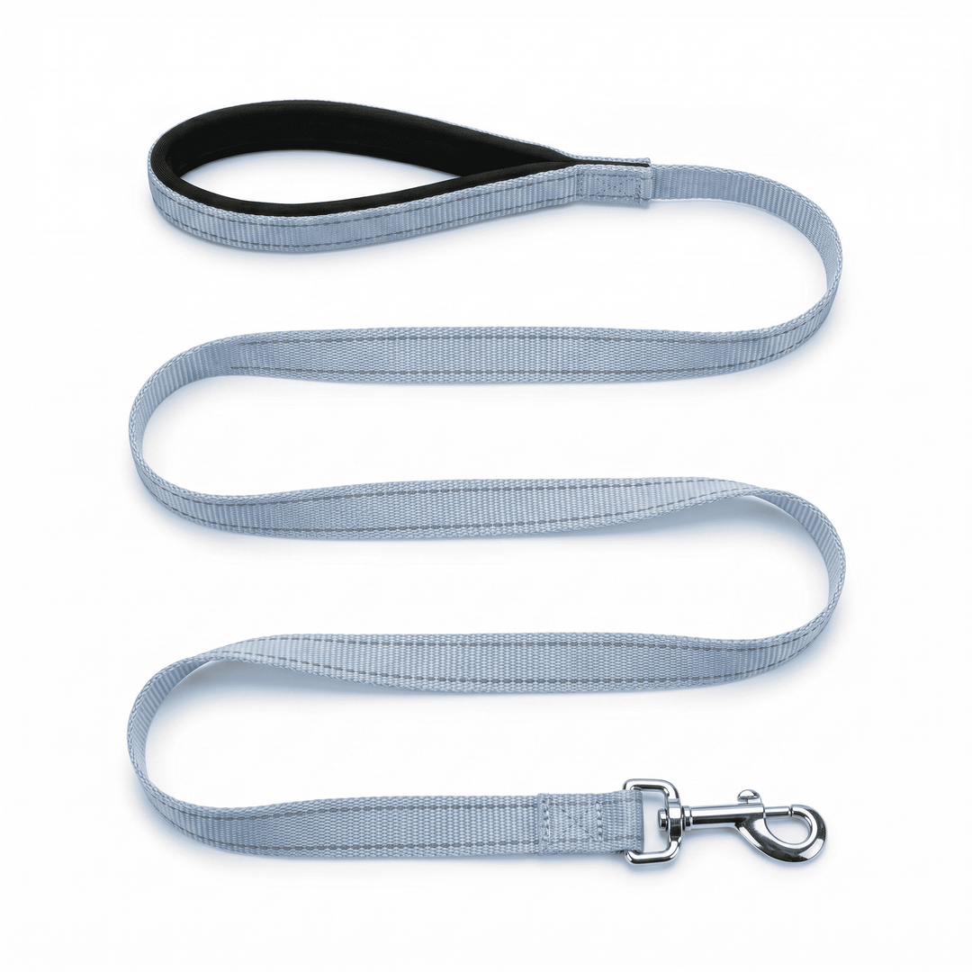 BAYCAT Harness + Leash